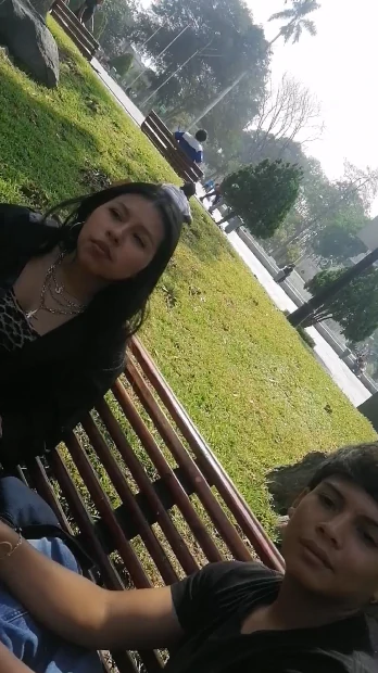 bsdfdsfdsfdf