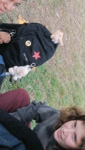 vfdsadsafssfa