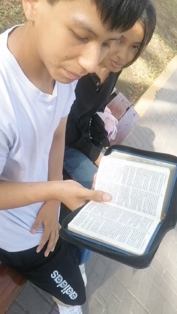 vsadsdvsav